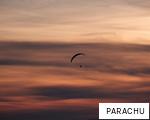 PARACHU anagram