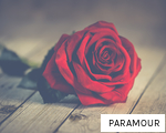PARAMOUR anagram