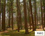 PARC anagram