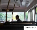 PASSENGE anagram