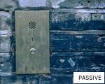 PASSIVE anagram