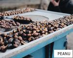 PEANU anagram