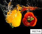 PECTIN anagram