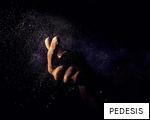 PEDESIS anagram