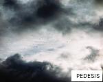 PEDESIS anagram