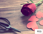 PEG anagram
