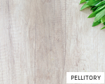 PELLITORY anagram