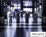 PELLUCID anagram