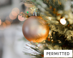 PERMITTED anagram