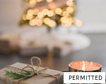 PERMITTED anagram