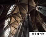 PERSPECT anagram