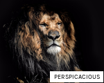 PERSPICACIOUS anagram