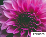 PERUSES anagram