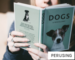 PERUSING anagram