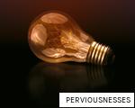 PERVIOUSNESSES anagram