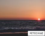 PETECHIAE anagram