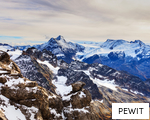 PEWIT anagram