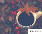 PHYSALIS anagram