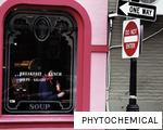 PHYTOCHEMICAL anagram