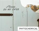 PHYTOCHEMICAL anagram
