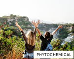 PHYTOCHEMICAL anagram