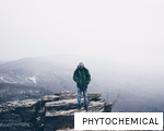PHYTOCHEMICAL anagram