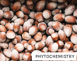 PHYTOCHEMISTRY anagram