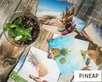 PINEAP anagram