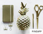 PINEAPP anagram