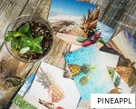 PINEAPPL anagram