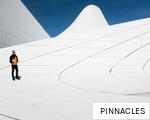 PINNACLES anagram