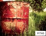 PITAS anagram