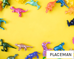 PLACEMAN anagram