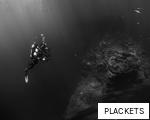 PLACKETS anagram