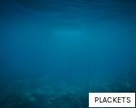 PLACKETS anagram