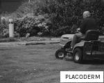 PLACODERM anagram