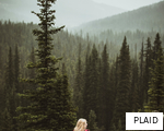 PLAID anagram