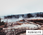 PLEBISCITE anagram