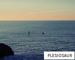 PLESIOSAUR anagram