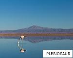 PLESIOSAUR anagram