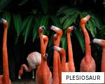 PLESIOSAUR anagram