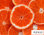 PLEXUS anagram