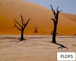 PLOPS anagram