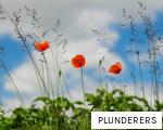 PLUNDERERS anagram