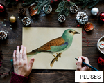 PLUSES anagram