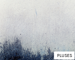 PLUSES anagram