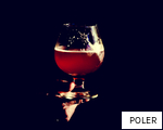 POLER anagram