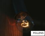 POLLENS anagram