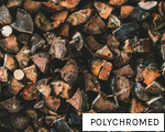 POLYCHROMED anagram