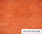 POLYETHYLENE anagram